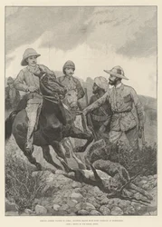 Il principe Alberto Vittorio in India, caccia al Black Buck con ghepardo a Hyderabad